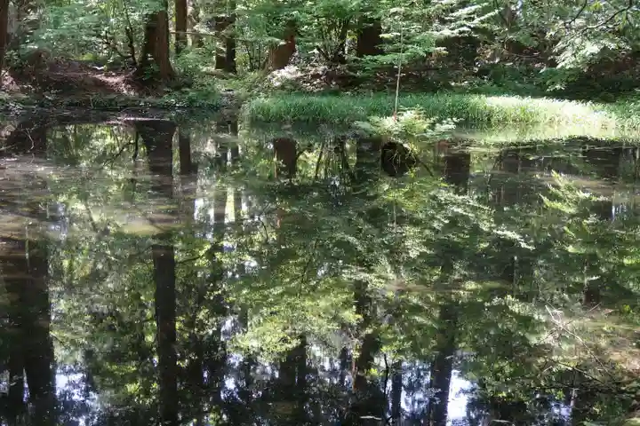 平泉寺白山神社(福井県)