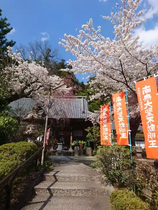 不動寺(松井田不動尊) の自然