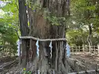 大國魂神社(東京都)