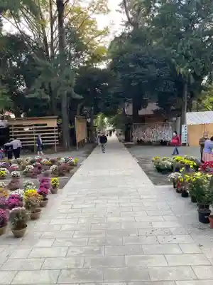 平塚八幡宮(神奈川県)