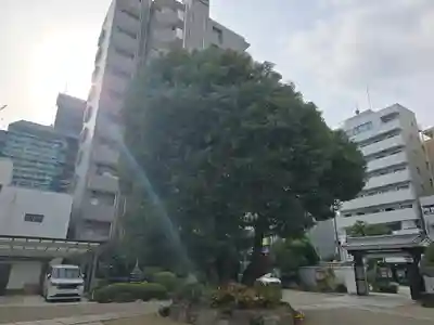 正祐寺(大阪府)