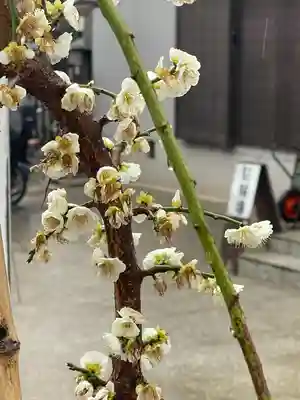 渋川神社(大阪府)