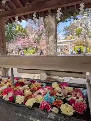 鳩森八幡神社(東京都)