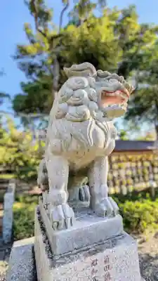 菊田神社の狛犬