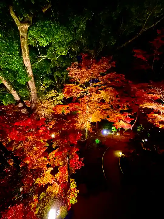 宝満宮竈門神社(福岡県)