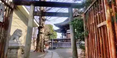 滝野川八幡神社(東京都)