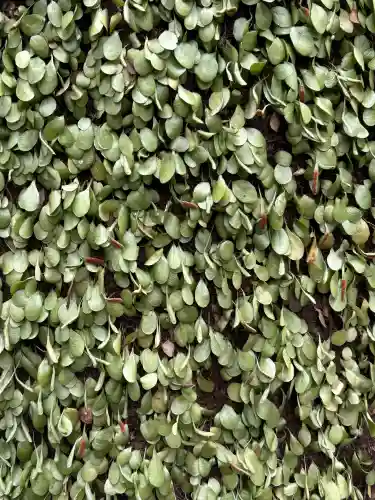岐阜護國神社の{uncategorized: "未分類", other: "その他", undefined: "問題あり", building: "その他建物", grave: "お墓", sacred_gate: "鳥居", guardian: "狛犬", statue: "像", buddha: "仏像", history: "歴史", nature: "自然", garden: "庭園", animal: "動物", pagoda: "塔", temizu: "手水舎", mountain_gate: "山門・神門", sanctuary: "本殿・本堂", subordinate: "末社・摂社", art: "芸術", scenery: "景色", jizo: "地蔵", ema: "絵馬", goshuin: "御朱印", omikuji: "おみくじ", items: "授与品その他", amulet: "お守り", goshuincho: "御朱印帳", eats: "食事", festival: "お祭り", votive_dance: "神楽", shichigosan: "七五三参", wedding: "結婚式", experience: "体験その他", initially: "初詣", around: "周辺", anti_infection: "感染症対策"}