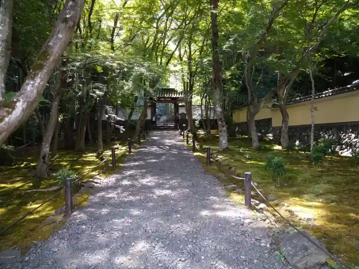 地蔵院(京都府)