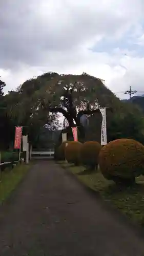 長泉院のその他建物