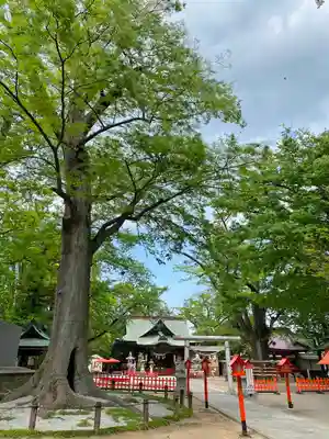 上野総社神社のその他建物