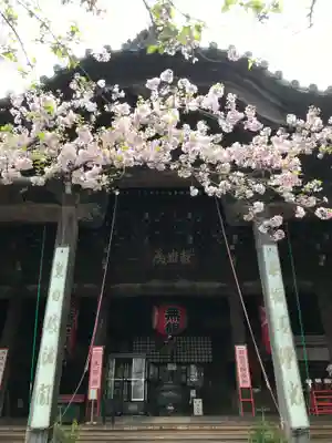 金剛宝寺（紀三井寺）の本殿・本堂