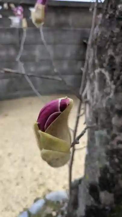 興昌寺(愛知県)