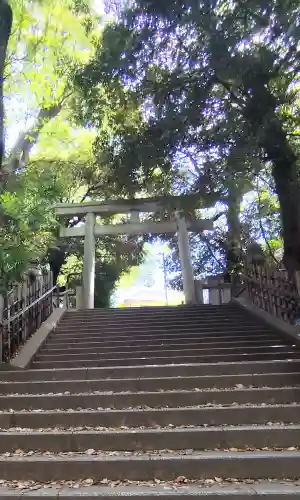 渋谷氷川神社の{uncategorized: "未分類", other: "その他", undefined: "問題あり", building: "その他建物", grave: "お墓", sacred_gate: "鳥居", guardian: "狛犬", statue: "像", buddha: "仏像", history: "歴史", nature: "自然", garden: "庭園", animal: "動物", pagoda: "塔", temizu: "手水舎", mountain_gate: "山門・神門", sanctuary: "本殿・本堂", subordinate: "末社・摂社", art: "芸術", scenery: "景色", jizo: "地蔵", ema: "絵馬", goshuin: "御朱印", omikuji: "おみくじ", items: "授与品その他", amulet: "お守り", goshuincho: "御朱印帳", eats: "食事", festival: "お祭り", votive_dance: "神楽", shichigosan: "七五三参", wedding: "結婚式", experience: "体験その他", initially: "初詣", around: "周辺", anti_infection: "感染症対策"}