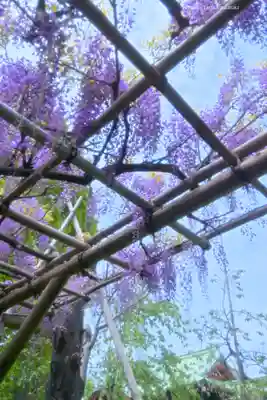 亀戸天神社(東京都)