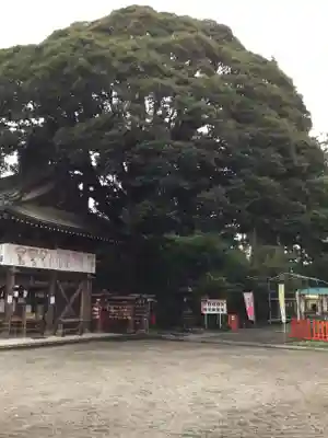 大前神社のその他建物