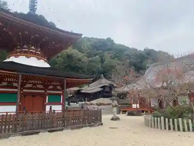 金剛寺(大阪府)