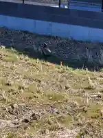 厳島神社(利保町)(栃木県)