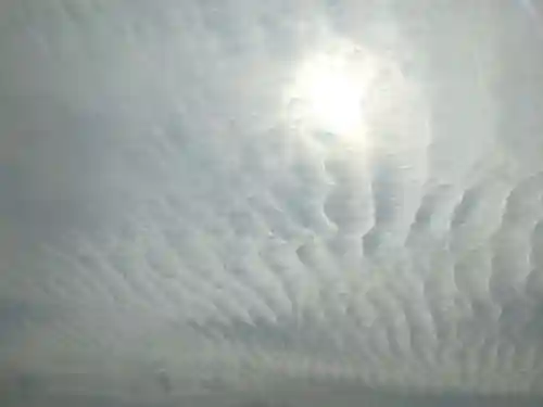 伊豫豆比古命神社(愛媛県)