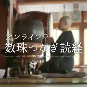 法源寺(山梨県) 2020年04月12日(日)〜(2020年04月12日(日) 10時30分22秒投稿)