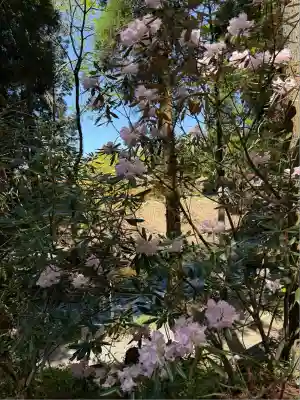 白川吉見神社(熊本県)