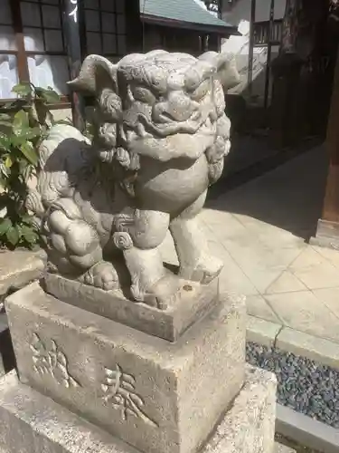 松山神社の狛犬