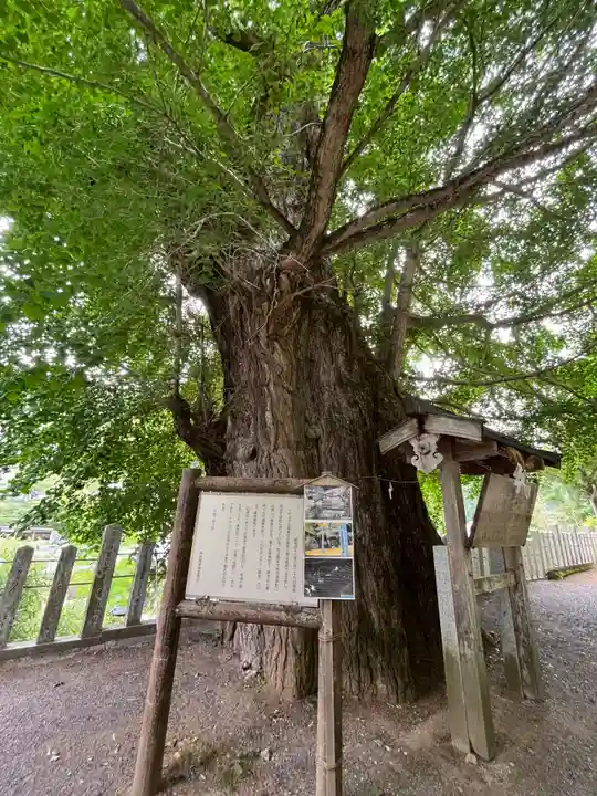 素盞雄神社(奈良県)