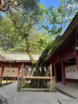 笠間稲荷神社(茨城県)