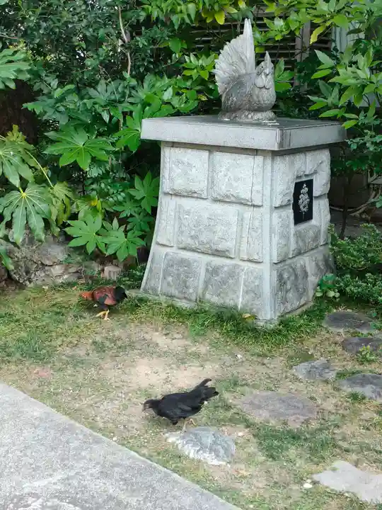 高知大神宮の狛犬