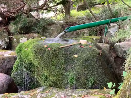 鳩谷八幡神社の手水