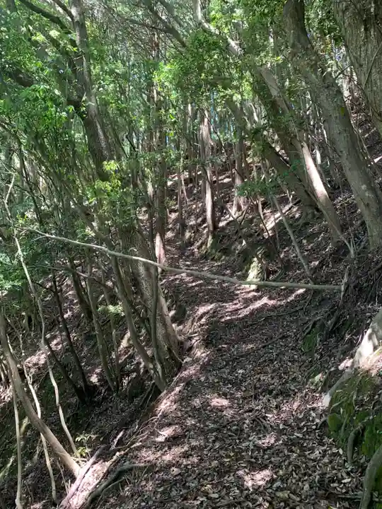琴平神社(千葉県)