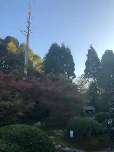 雲龍院の庭園