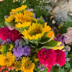 滑川神社 - 仕事と子どもの守り神の手水舎(2021年07月19日(月) 15時59分33秒投稿)