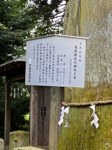 小林瀧尾神社(栃木県)