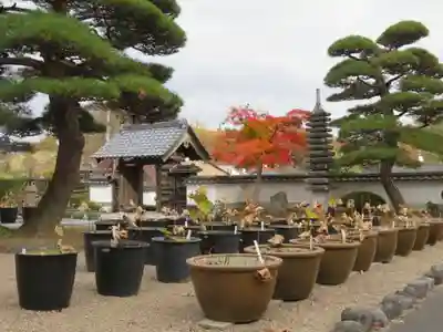 法蔵寺(福島県)
