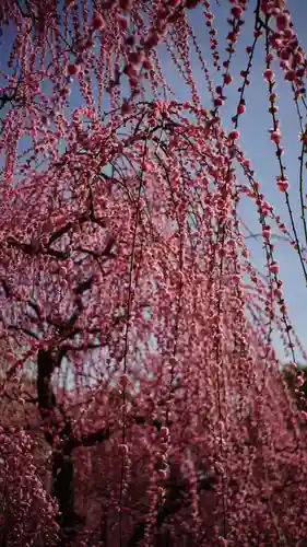 城南宮(京都府)