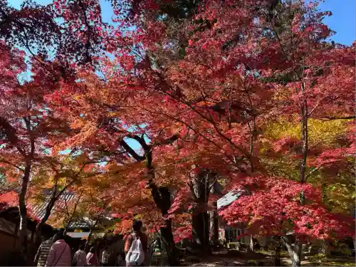永源寺(滋賀県)