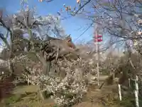 國分寺(茨城県)