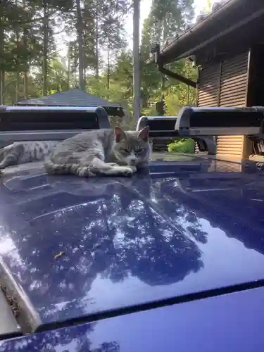 玉野御嶽神社の動物