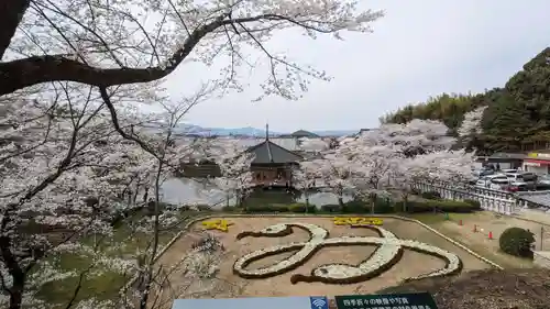 安倍文殊院 (奈良県)