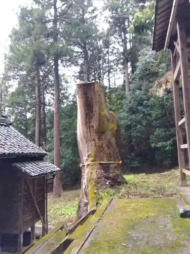 水間神社(福井県)