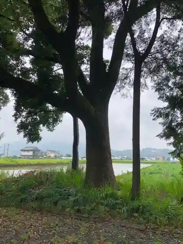 深淵神社の自然