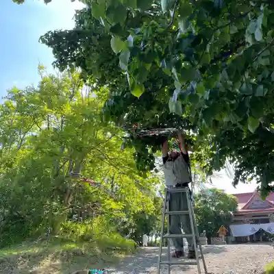 釧路一之宮 厳島神社のお祭り