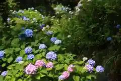 三春駒神社の庭園