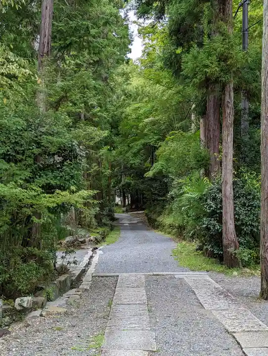 正伝護国禅寺(正伝寺・正傳寺)(京都府)