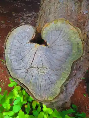 大谷地神社(北海道)