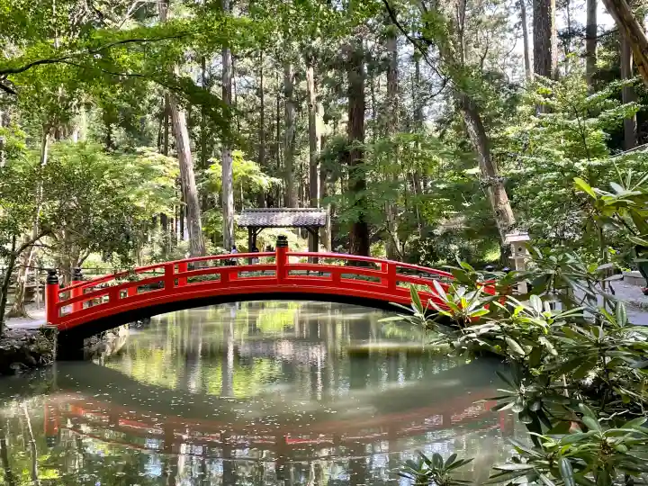 小國神社の{uncategorized: "未分類", other: "その他", undefined: "問題あり", building: "その他建物", grave: "お墓", sacred_gate: "鳥居", guardian: "狛犬", statue: "像", buddha: "仏像", history: "歴史", nature: "自然", garden: "庭園", animal: "動物", pagoda: "塔", temizu: "手水舎", mountain_gate: "山門・神門", sanctuary: "本殿・本堂", subordinate: "末社・摂社", art: "芸術", scenery: "景色", jizo: "地蔵", ema: "絵馬", goshuin: "御朱印", omikuji: "おみくじ", items: "授与品その他", amulet: "お守り", goshuincho: "御朱印帳", eats: "食事", festival: "お祭り", votive_dance: "神楽", shichigosan: "七五三参", wedding: "結婚式", experience: "体験その他", initially: "初詣", around: "周辺", anti_infection: "感染症対策"}