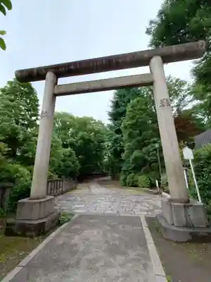 根津神社の鳥居
