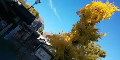 平野神社のその他建物