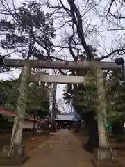 大井氷川神社(埼玉県)