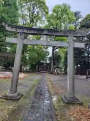 井細田八幡神社(神奈川県)